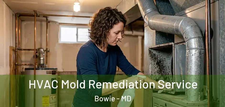  HVAC Mold Remediation Service Bowie - MD