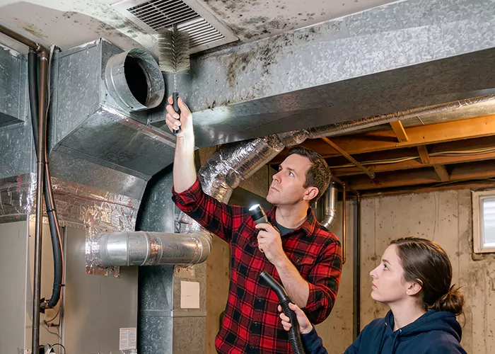 Premier HVAC Mold Remediation Company in Bowie